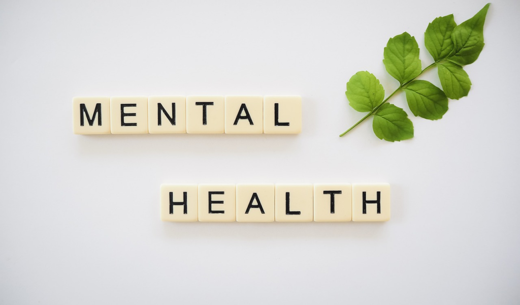 Mental Health Resources at Health Federation Partners